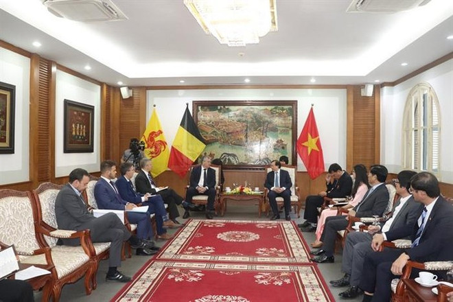 Vietnam y Comunidad francófona de Bélgica por reforzar cooperación deportiva ảnh 1 Vietnam y Comunidad francófona de Bélgica por reforzar cooperación deportiva ảnh 1