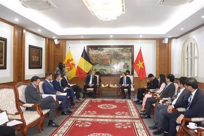 Vietnam y Comunidad francófona de Bélgica por reforzar cooperación deportiva ảnh 1