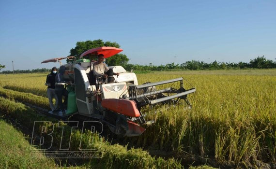 Promueven localidades vietnamita e italiana cooperación económica ảnh 1 Promueven localidades vietnamita e italiana cooperación económica ảnh 1