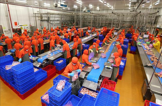 Inversiones extranjeras en Vietnam alcanzan más de 22 mil millones de USD ảnh 1 Inversiones extranjeras en Vietnam alcanzan más de 22 mil millones de USD ảnh 1