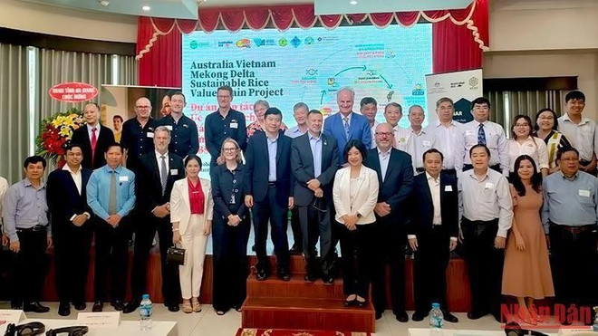 Vietnam y Australia inician proyecto de cooperación sobre cadena de valor del arroz ảnh 1