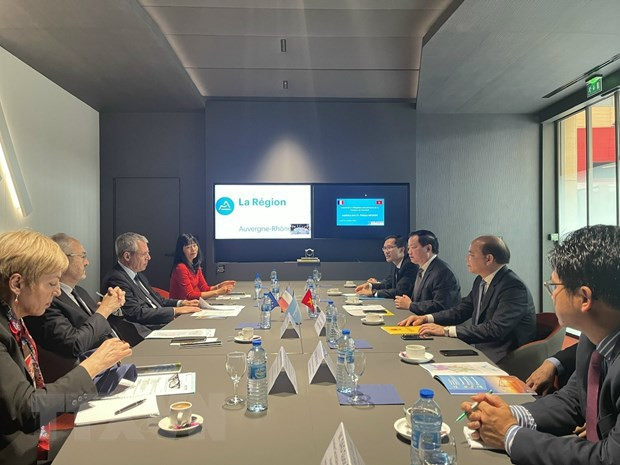 Provincia vietnamita busca fortalecer cooperación con localidades francesas ảnh 1 Provincia vietnamita busca fortalecer cooperación con localidades francesas ảnh 1