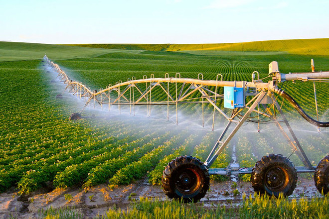 Hanoi lanza estrategia para desarrollo agrícola en periodo 2022-2030 ảnh 1 Hanoi lanza estrategia para desarrollo agrícola en periodo 2022-2030 ảnh 1