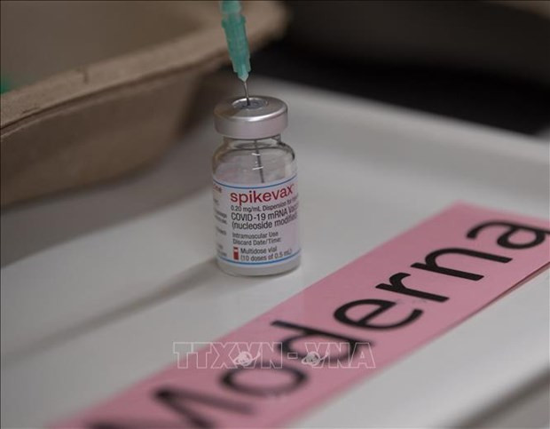 Singapur inicia vacunación contra COVID-19 para niños de 6 meses a 4 años ảnh 1 Singapur inicia vacunación contra COVID-19 para niños de 6 meses a 4 años ảnh 1