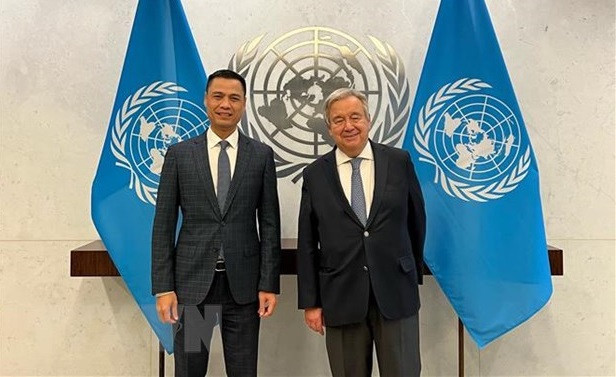 ONU otorga importancia a posición internacional de Vietnam, afirma embajador ảnh 2 ONU otorga importancia a posición internacional de Vietnam, afirma embajador ảnh 2