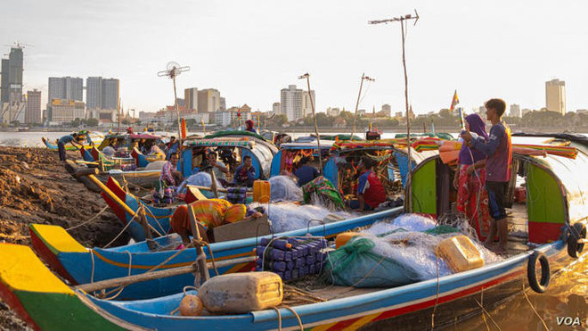 Reducción del nivel hídrico en Camboya afecta a población de peces ảnh 1 Reducción del nivel hídrico en Camboya afecta a población de peces ảnh 1