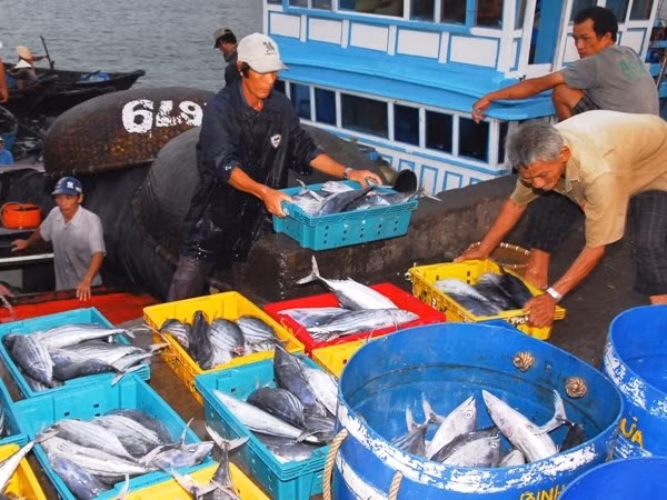 Aumenta producción acuícola de Vietnam en primera mitad de 2020 ảnh 1