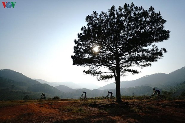 Inauguran en Da Lat cuarto certamen internacional de ultra maratón 2020 ảnh 1 Inauguran en Da Lat cuarto certamen internacional de ultra maratón 2020 ảnh 1
