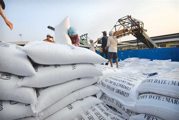 Precios mundiales de exportación del arroz caen al nivel mínimo en dos meses ảnh 1