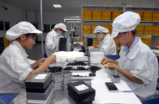 EVFTA pone a prueba capacidad de minoristas vietnamitas ảnh 1