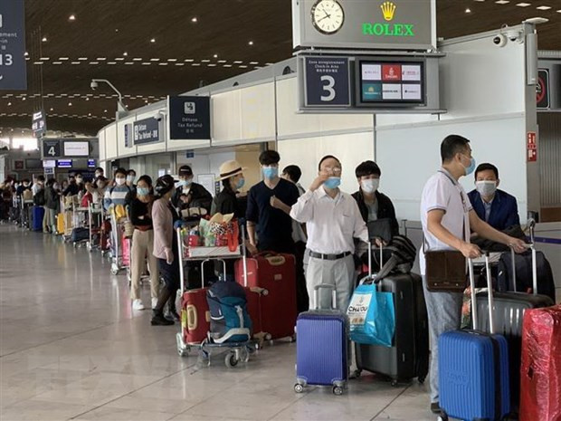 Repatrían a más de 280 ciudadanos vietnamitas varados en Europa ảnh 1 Repatrían a más de 280 ciudadanos vietnamitas varados en Europa ảnh 1
