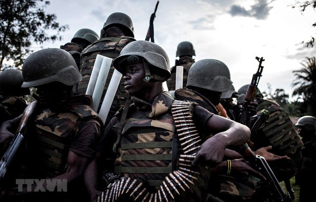 Vietnam reitera importancia de solución a crisis en la República Democrática del Congo ảnh 1