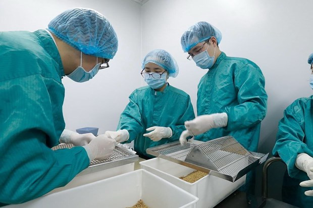 Vietnam firme con resultados en lucha contra COVID-19 ảnh 1 Vietnam firme con resultados en lucha contra COVID-19 ảnh 1