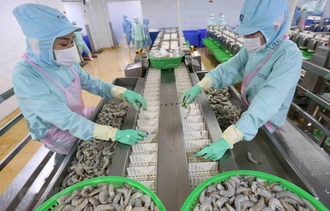 Ingresa Vietnam fondo multimillonario por exportación de productos agropecuarios y silvícolas ảnh 1 Ingresa Vietnam fondo multimillonario por exportación de productos agropecuarios y silvícolas ảnh 1