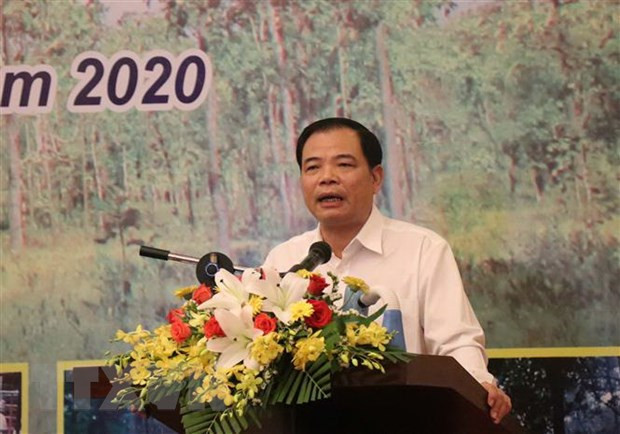 Buscan mejorar gestión y protección forestal en Altiplanicie Occidental de Vietnam ảnh 1 Buscan mejorar gestión y protección forestal en Altiplanicie Occidental de Vietnam ảnh 1