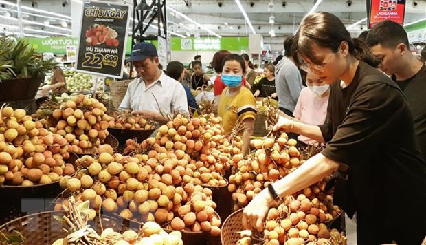 Busca Vietnam aumentar presencia de productos en mercados de la ASEAN ảnh 1 Busca Vietnam aumentar presencia de productos en mercados de la ASEAN ảnh 1