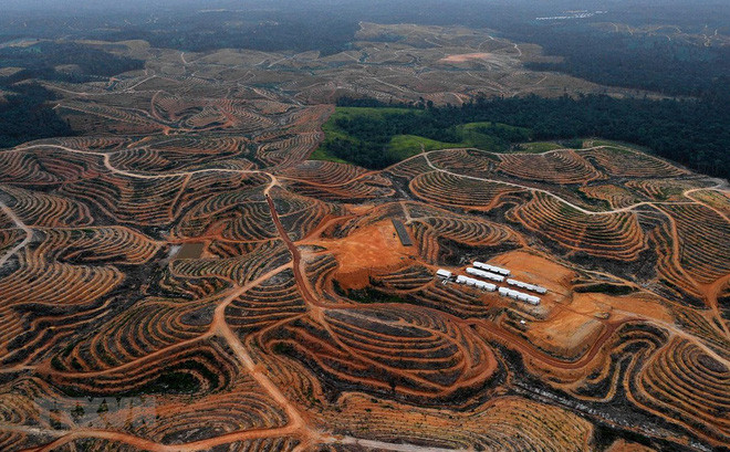 Indonesia construirá sistema de transporte inteligente en la provincia de Kalimantan ảnh 1 Indonesia construirá sistema de transporte inteligente en la provincia de Kalimantan ảnh 1