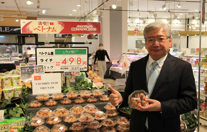 Empresa japonesa de AEON aprecia calidad de lichi vietnamita ảnh 1 Empresa japonesa de AEON aprecia calidad de lichi vietnamita ảnh 1