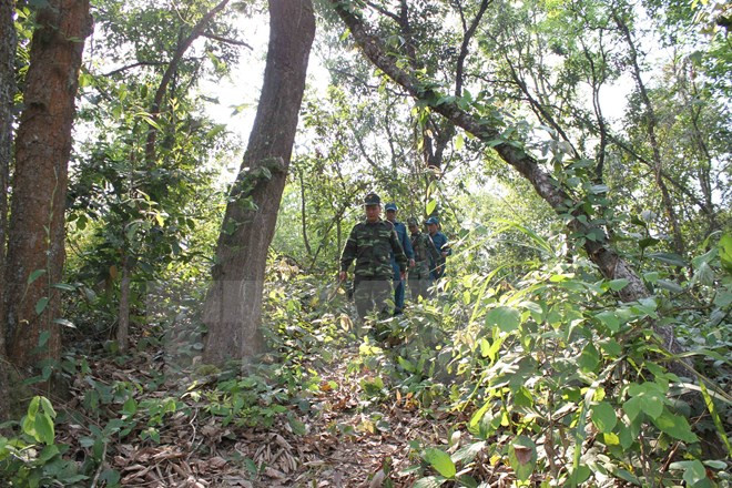 Refuerzan Vietnam y Laos colaboración en seguridad fronteriza ảnh 1 Refuerzan Vietnam y Laos colaboración en seguridad fronteriza ảnh 1