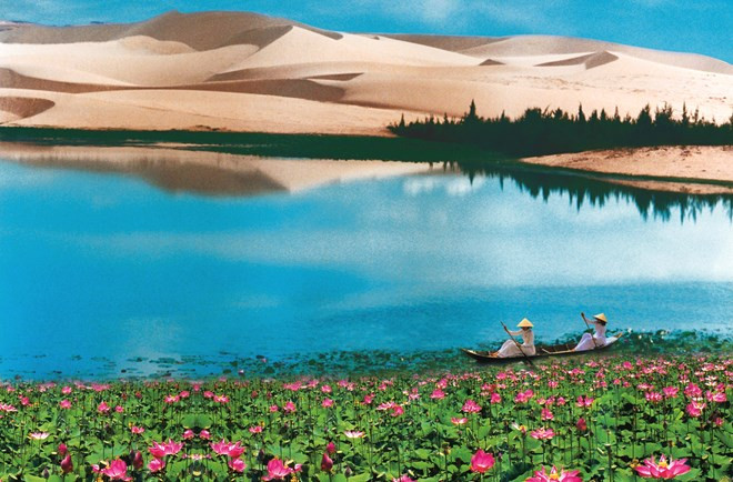 Investigan expertos internacionales turismo en Binh Thuan ảnh 1 Investigan expertos internacionales turismo en Binh Thuan ảnh 1