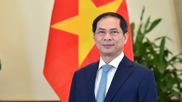El ministro de Relaciones Exteriores de Vietnam, Bui Thanh Son (Fuente: baoquocte.vn) Vietnam llama a fortalecer cooperación internacional en respuesta a pandemia ảnh 1