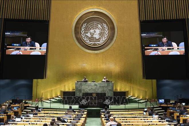 Vietnam condena actos que provocan inestabilidad política en Haití ảnh 1 Vietnam condena actos que provocan inestabilidad política en Haití ảnh 1