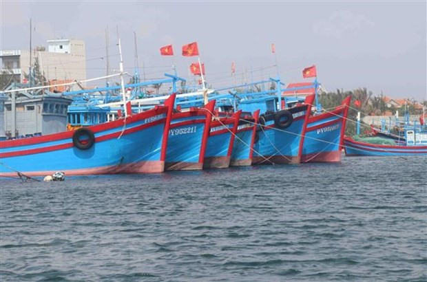 Vietnam se esmera en promover la pesca responsable y sostenible ảnh 1 Vietnam se esmera en promover la pesca responsable y sostenible ảnh 1