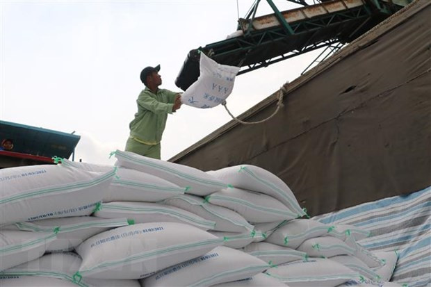 Aumentan precios del arroz de Vietnam ảnh 1 Aumentan precios del arroz de Vietnam ảnh 1