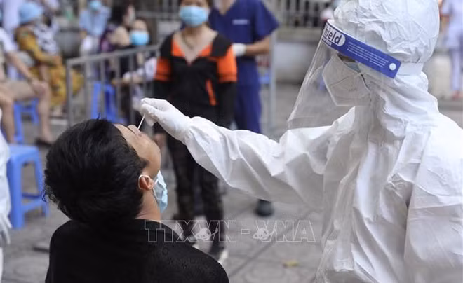 Ciudad Ho Chi Minh lanza programas a favor de los trabajadores ảnh 1