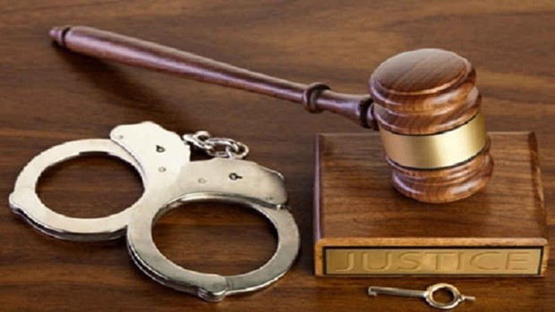 Detienen a ciudadano chino por falsificar documentos para trabajar en Vietnam ảnh 1