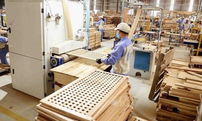 Vietnam y Estados Unidos cooperan para combatir la tala y comercio ilegal de madera ảnh 2