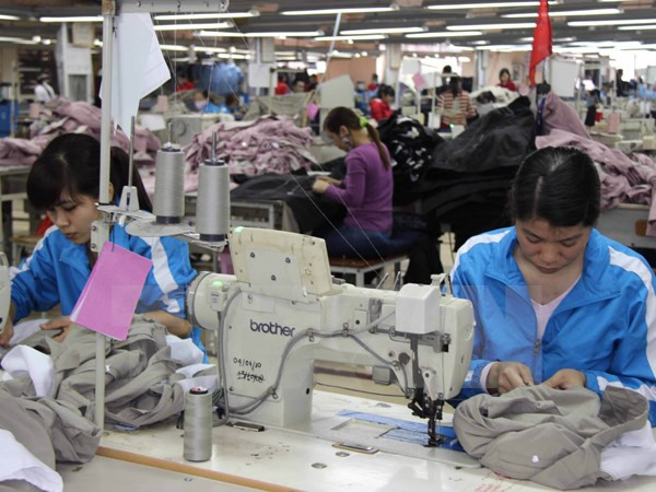 Vietnam cierra 2015 con una cifra récord de 94 mil 750 nuevas empresas ảnh 1
