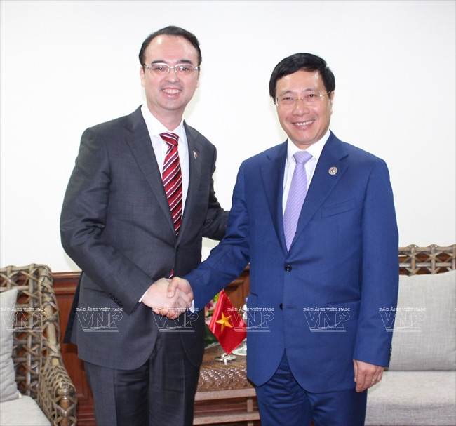 Vicepremier y canciller vietnamita se reúne con ministro de Asuntos Exteriores de Japón ảnh 1 Vicepremier y canciller vietnamita se reúne con ministro de Asuntos Exteriores de Japón ảnh 1