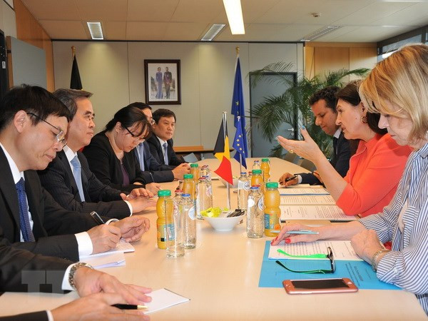 Vietnam prioriza cooperación económica con UE y Bélgica ảnh 1 Vietnam prioriza cooperación económica con UE y Bélgica ảnh 1