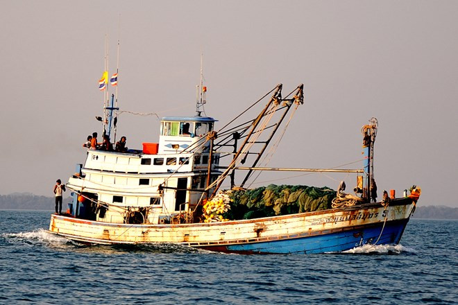 Tailandia reafirma compromiso sobre el control de pesca ilegal ảnh 1