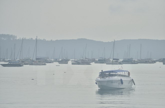 Polución en Asia: La calidad ambiental mejora en el sur de Tailandia ảnh 1 Polución en Asia: La calidad ambiental mejora en el sur de Tailandia ảnh 1