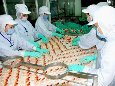 Vietnam fija meta para exportación de productos acuáticos en 2017 ảnh 1 Vietnam fija meta para exportación de productos acuáticos en 2017 ảnh 1