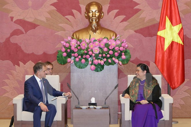 Vietnam presta alta prioridad en políticas exteriores con Rusia ảnh 1 Vietnam presta alta prioridad en políticas exteriores con Rusia ảnh 1