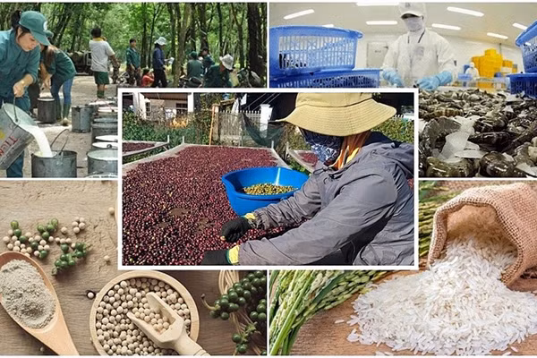 Crecerá exportación agrícola de Vietnam en cuarto trimestre de 2023 ảnh 1