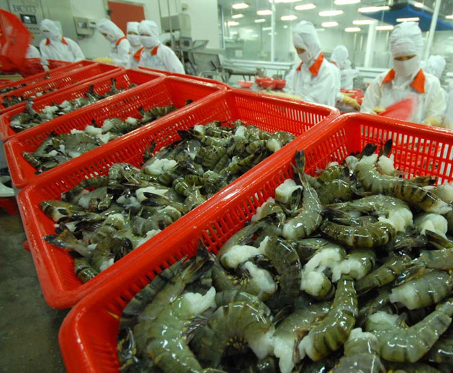 Industria camaronera de Vietnam se esmera en lograr meta de exportación para 2023 ảnh 2 Industria camaronera de Vietnam se esmera en lograr meta de exportación para 2023 ảnh 2