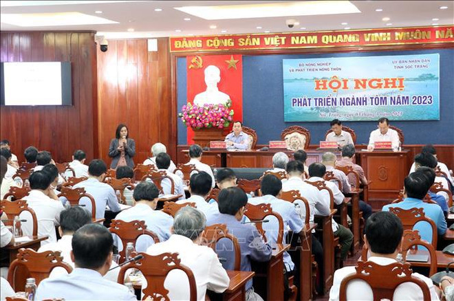 Exportaciones de camarones de Vietnam podrían alcanzar 4,3 mil millones de dólares en 2023 ảnh 2 Exportaciones de camarones de Vietnam podrían alcanzar 4,3 mil millones de dólares en 2023 ảnh 2