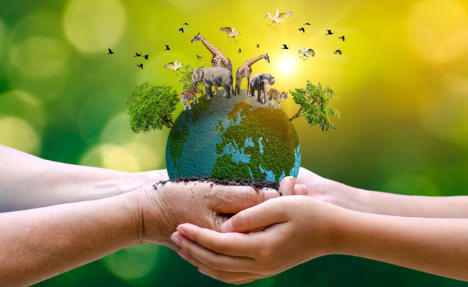 Vietnam busca mejorar eficiencia de conservación de especies silvestres ảnh 1 Vietnam busca mejorar eficiencia de conservación de especies silvestres ảnh 1