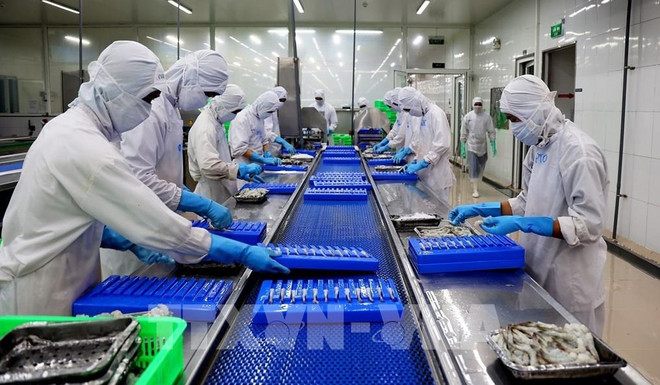 Buscan fomentar posición de acuicultura vietnamita en mapa mundial ảnh 1 Buscan fomentar posición de acuicultura vietnamita en mapa mundial ảnh 1