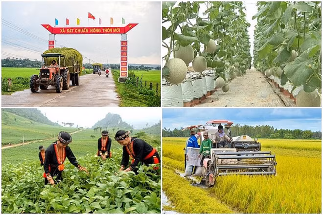 📝Enfoque: Agiliza Vietnam implementación de objetivos de desarrollo sostenible ảnh 2