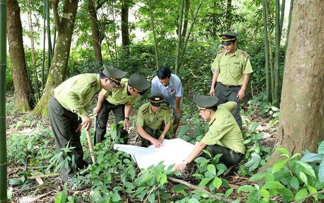 📝 Enfoque: Vietnam promueve protección de vida silvestre ảnh 2 📝 Enfoque: Vietnam promueve protección de vida silvestre ảnh 2