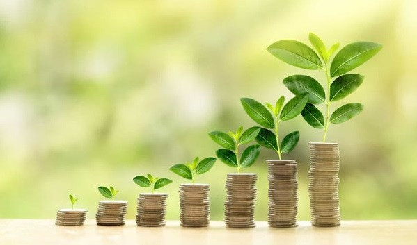 Vietnam necesita institución financiera especializada para recibir inversiones verdes ảnh 1 Vietnam necesita institución financiera especializada para recibir inversiones verdes ảnh 1
