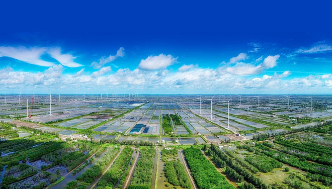 Vietnam por promover mentalidad empresarial inclusiva y sostenible ảnh 2