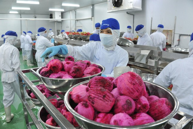 Vietnam genera miles de millones de dólares al año gracias a TLC ảnh 2 Vietnam genera miles de millones de dólares al año gracias a TLC ảnh 2