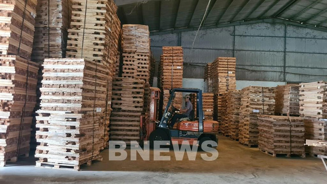 Procesamiento de madera de Gia Lai busca firmeza en mercado europeo ảnh 2