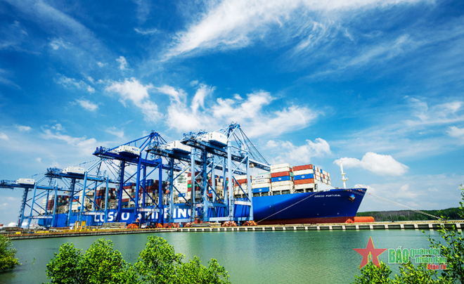 Construyen en Vietnam puertos verdes e inteligentes para desarrollo sostenible ảnh 2 Construyen en Vietnam puertos verdes e inteligentes para desarrollo sostenible ảnh 2